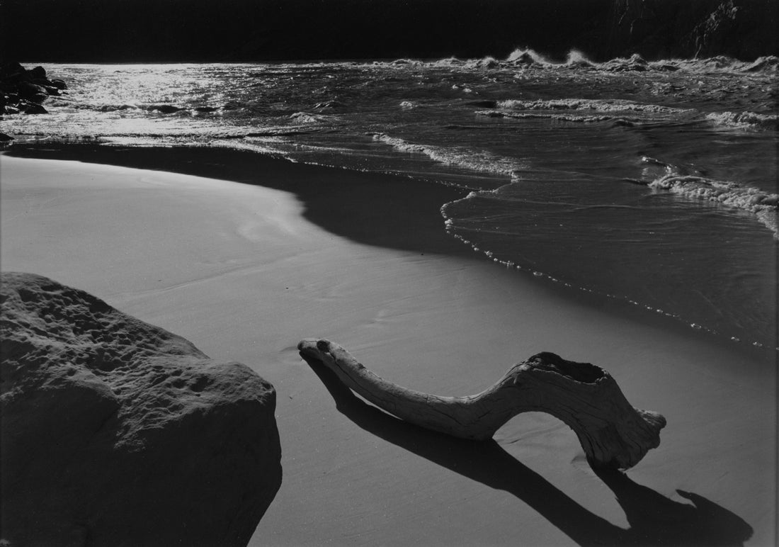 Driftwood on Beach at Granite Falls, Grand Canyon National Park, Arizona  1956 Philip Hyde (1921–2006)