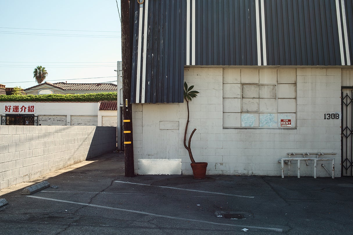 Back parking lot scene — Good Luck Employment Agency and storage for rent  2013;  Jessica Chou (b. 1985)