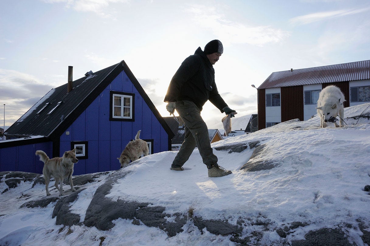 Ole Jorgen Hammeken with sled dogs  2009