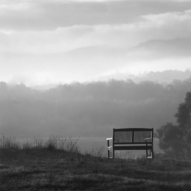 Monika’s Bench, Jasper Ridge Biological Preserve, Portola Valley, California  2012