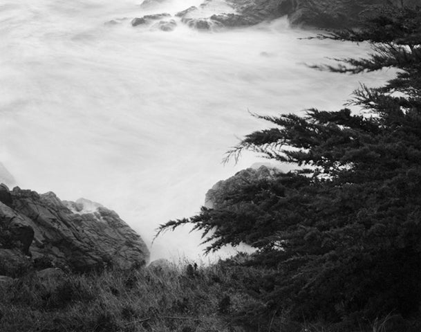 Reaching for the Sea, Sea Ranch, California  2010