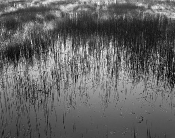 Reef Reflection, Sierra City, California  2009