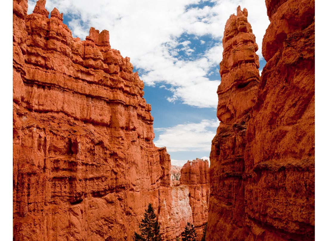 Wall Street, Bryce Canyon National Park, Utah  2010