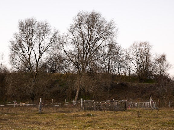 Oderbruchkippe, Berlin 2008