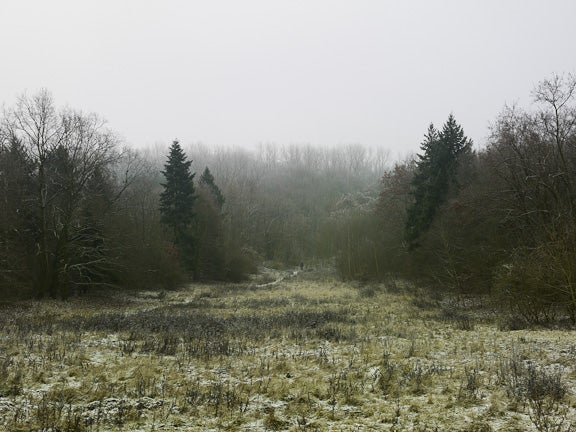 Volkspark Wuhlheide, Berlin 2008