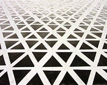 San Francisco Waldorf High School: Investigative Learning: Art, Nature, and Science