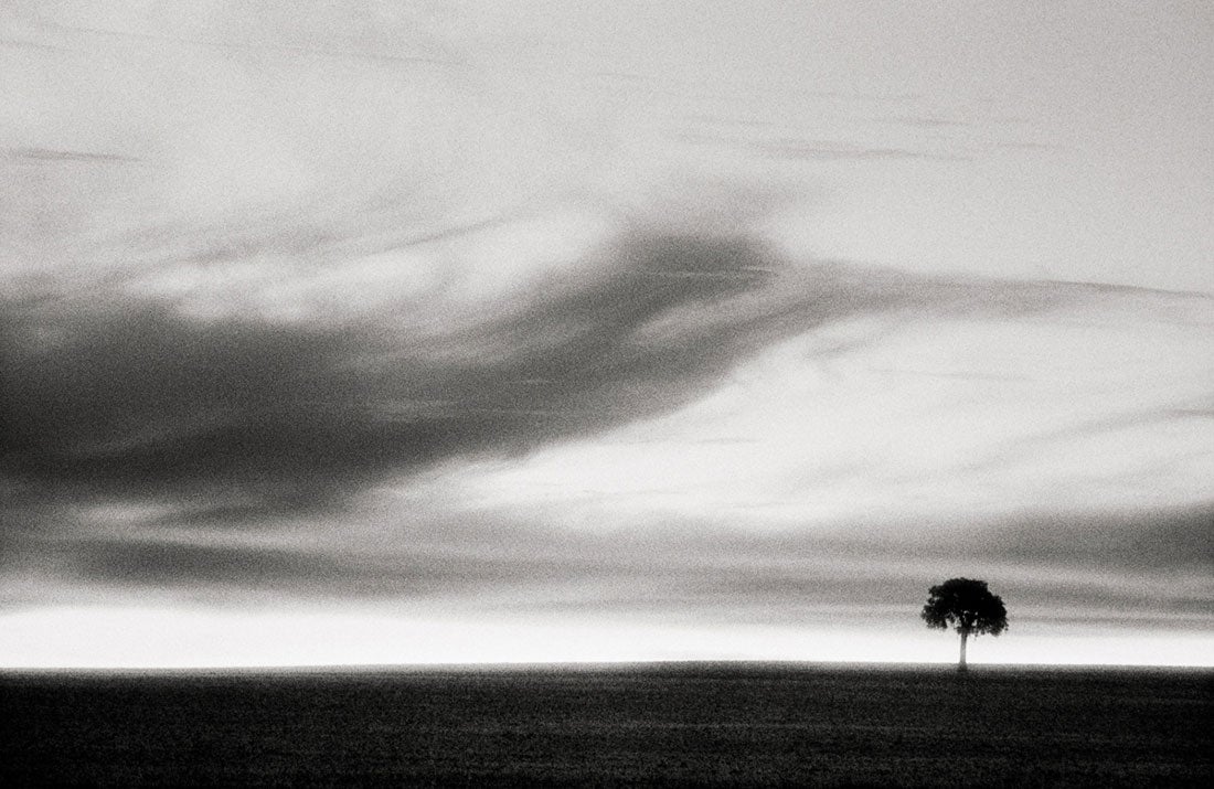 Lone Tree, Western Australia  2016