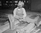 Rosie the Riveter: Womanpower in Wartime
