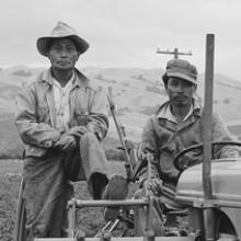 Farmworker Cirilo Alvarado, Ricardo Alvarado’s Older Brother, Drives a Tractor 