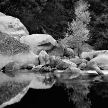 Boulders and Tree, Merced River, Yosemite National Park, California 1983