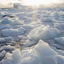 Icebergs cleaved from the Ilulissat Glacier floating outside of harbor of Uummannaq  2009