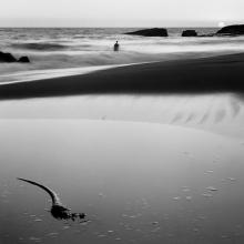 Sunset, Panther Beach, Near Santa Cruz, California  1979